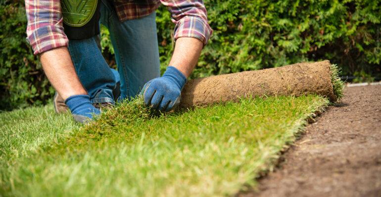 4 Landscaping Changes to Boost Your Home Security